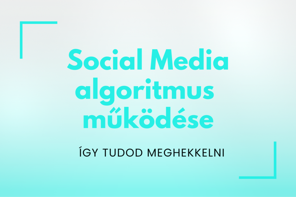A social media algoritmus működése